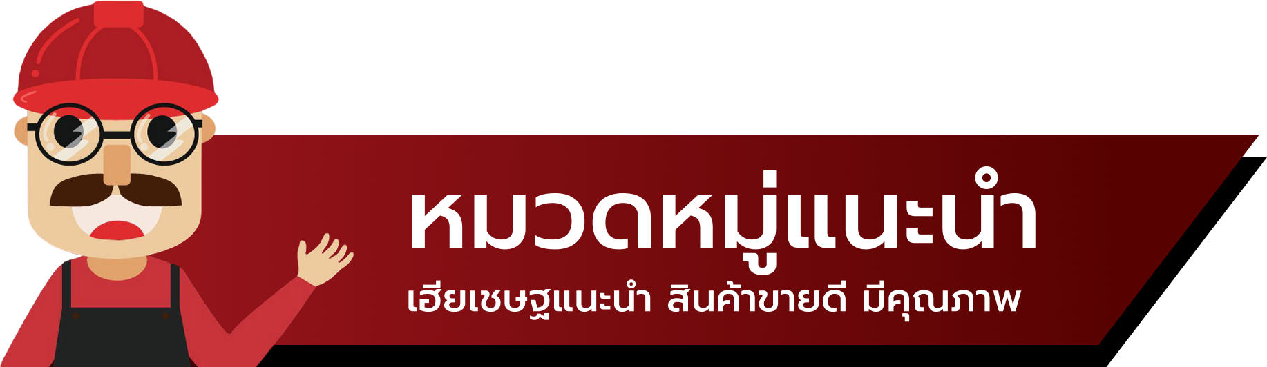 หมวดหมู่แนะนำ