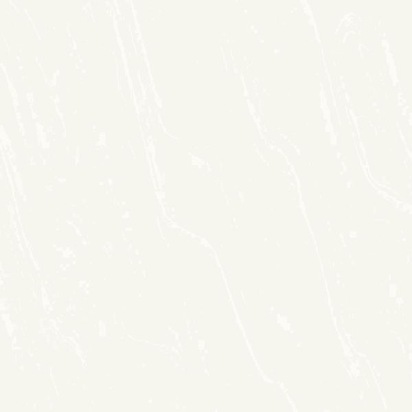 z21b0c551ripp601
