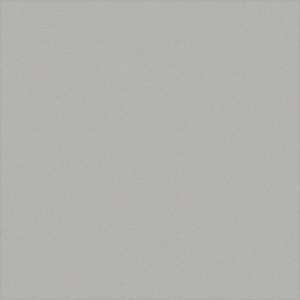 z21saa71100513a1