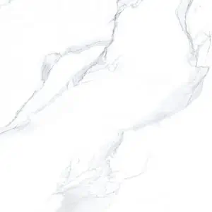 FIA55010371U
